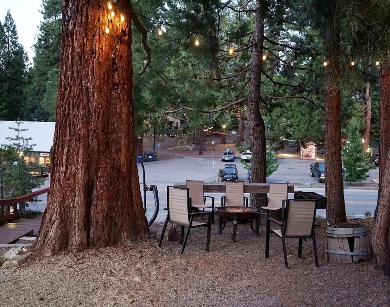 Bear Cave- Pet Friendly Suite In Shaver Lake Шейвер Лейк Экстерьер фото