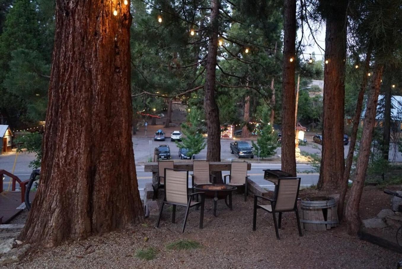 Bear Cave- Pet Friendly Suite In Shaver Lake Шейвер Лейк Экстерьер фото